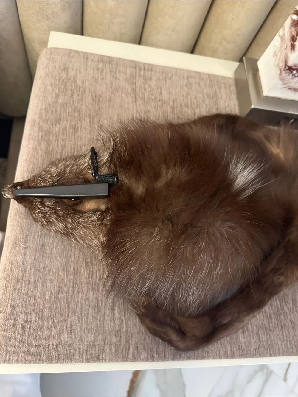 Vintage Fox for stole